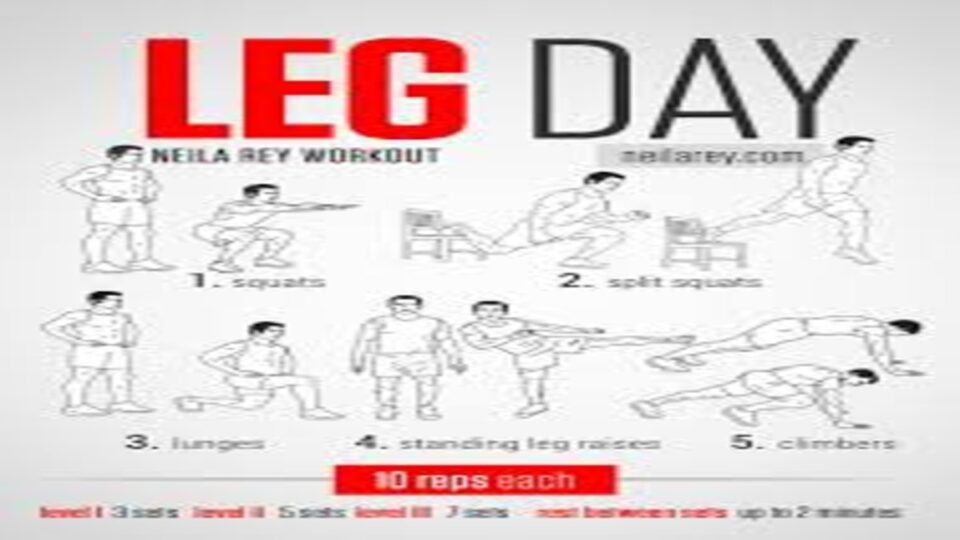 Leg Workouts