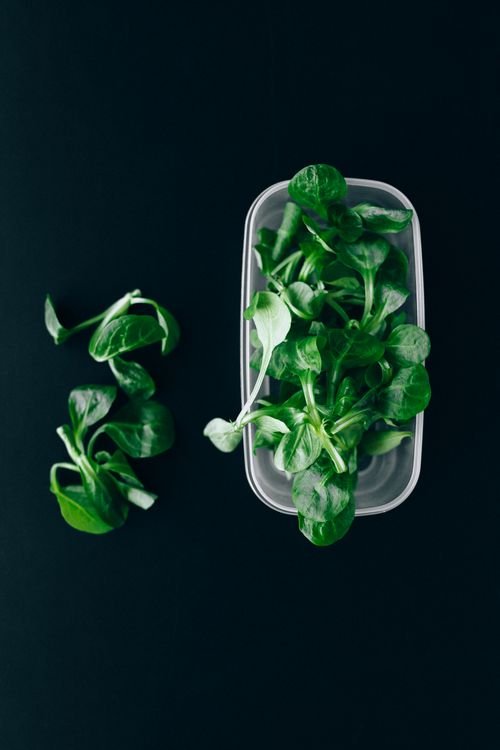 Fresh green salad leaves stored in a clear container, showing how to keep salad fresh longer